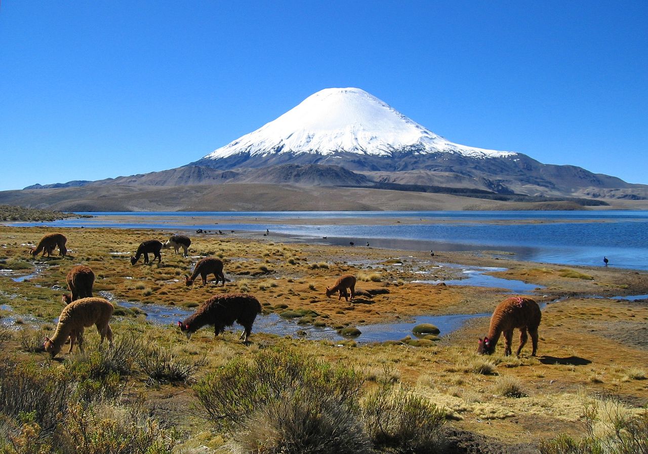 Photo:  Parinacota volcano in northern Chile